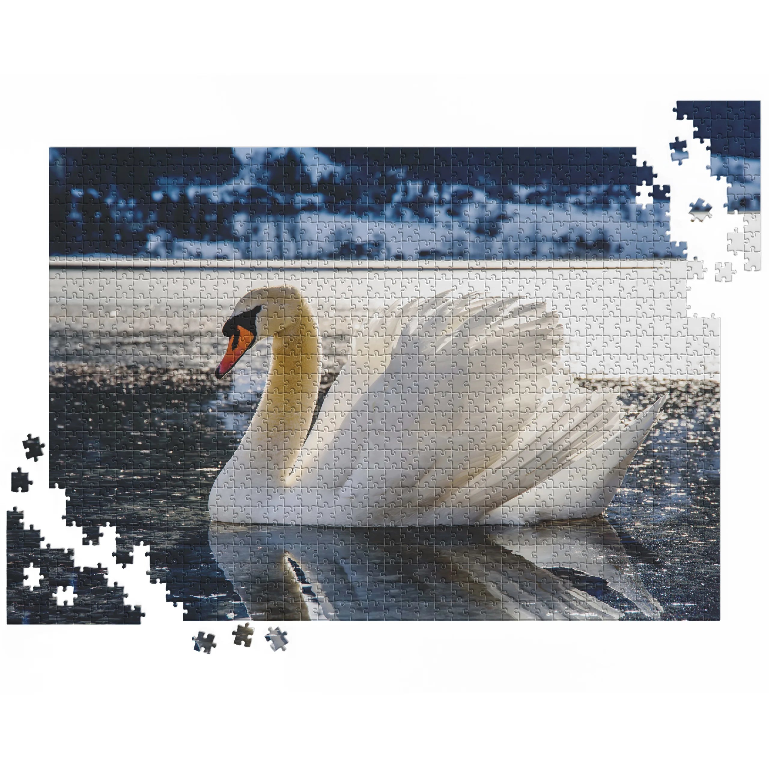Eleganter Schwan