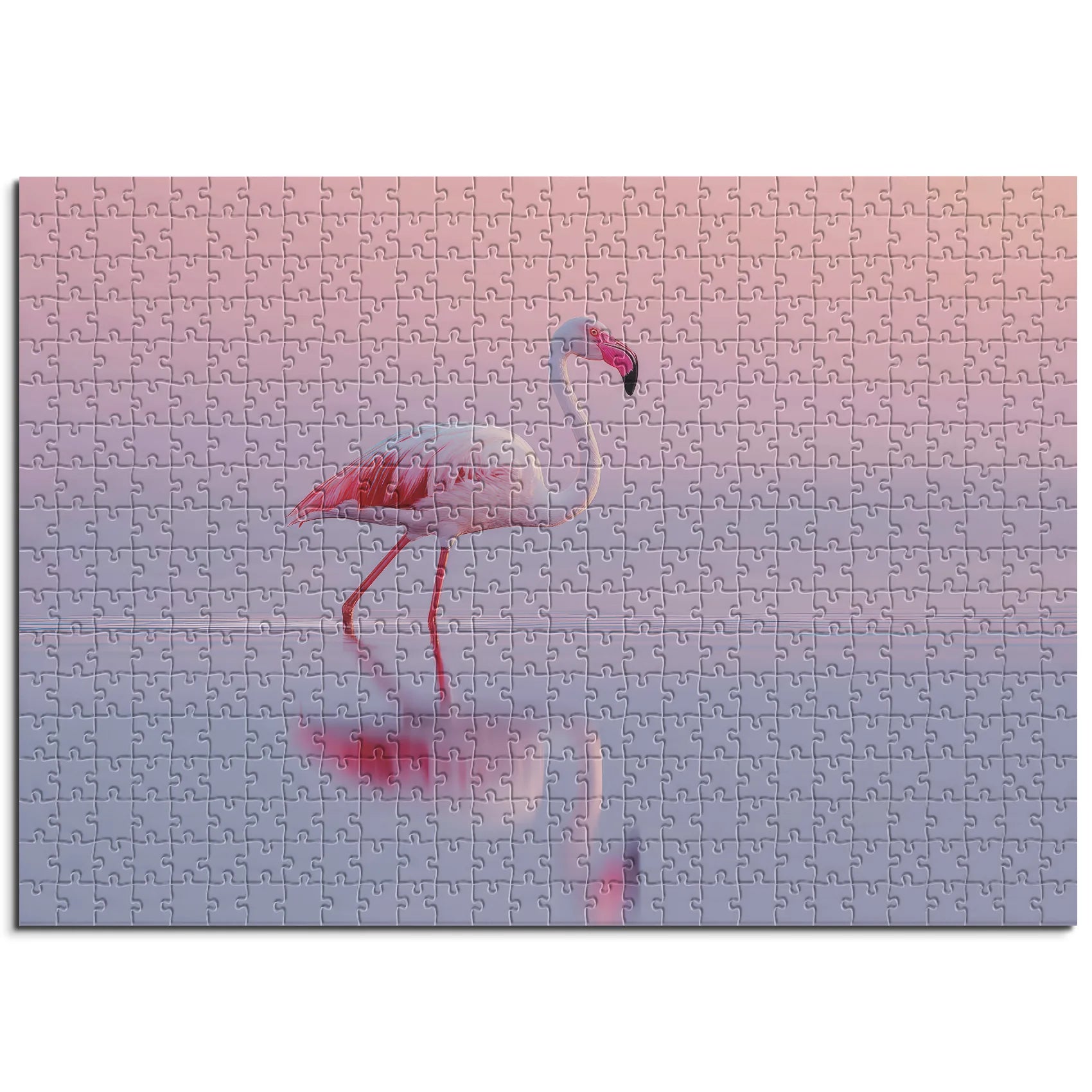 Flamant rose élégant