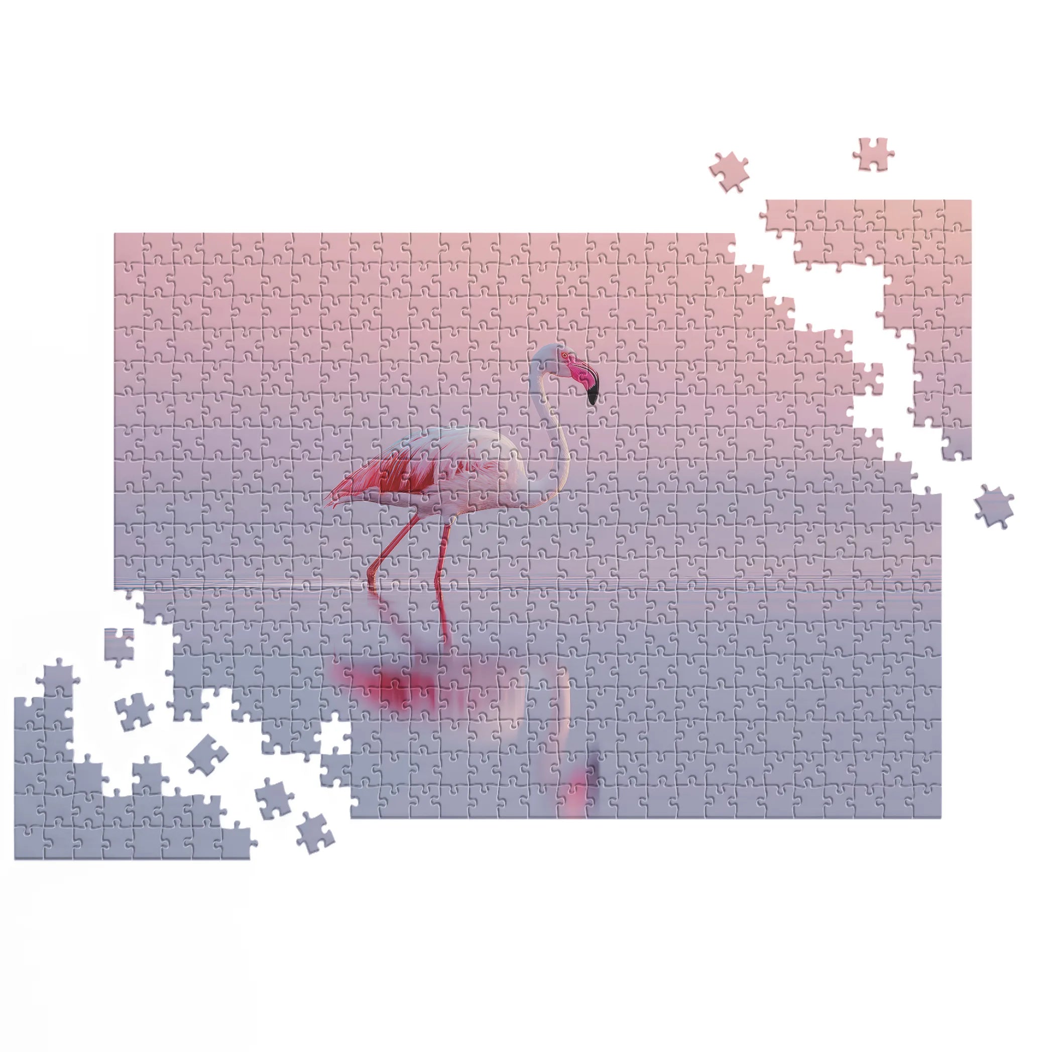 Flamant rose élégant