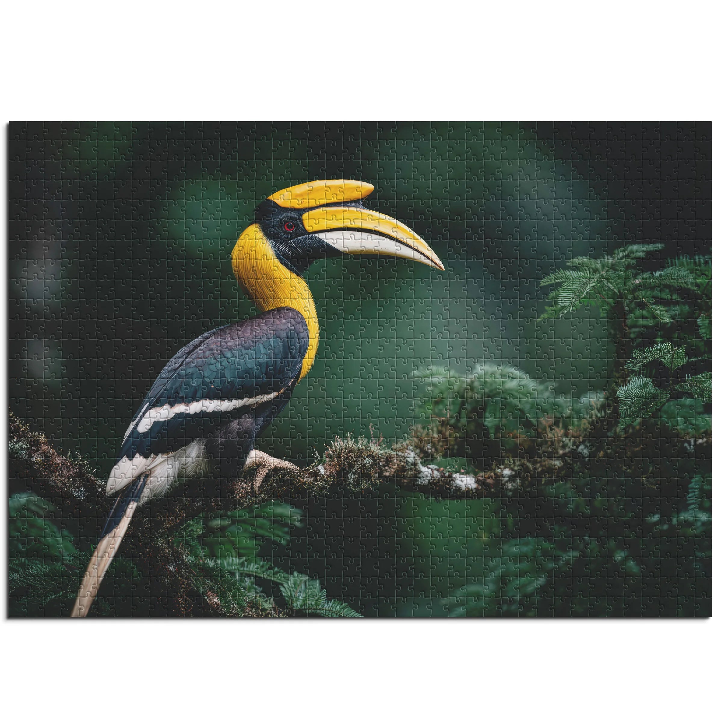 Exotischer Hornvogel