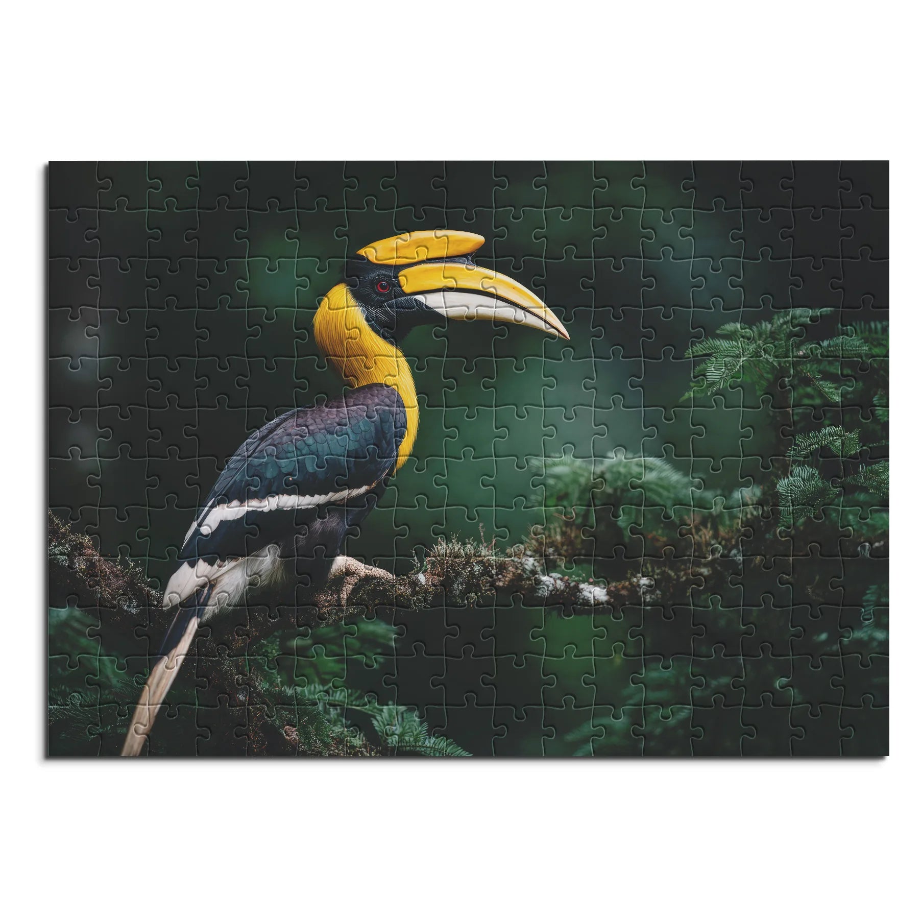 Exotischer Hornvogel