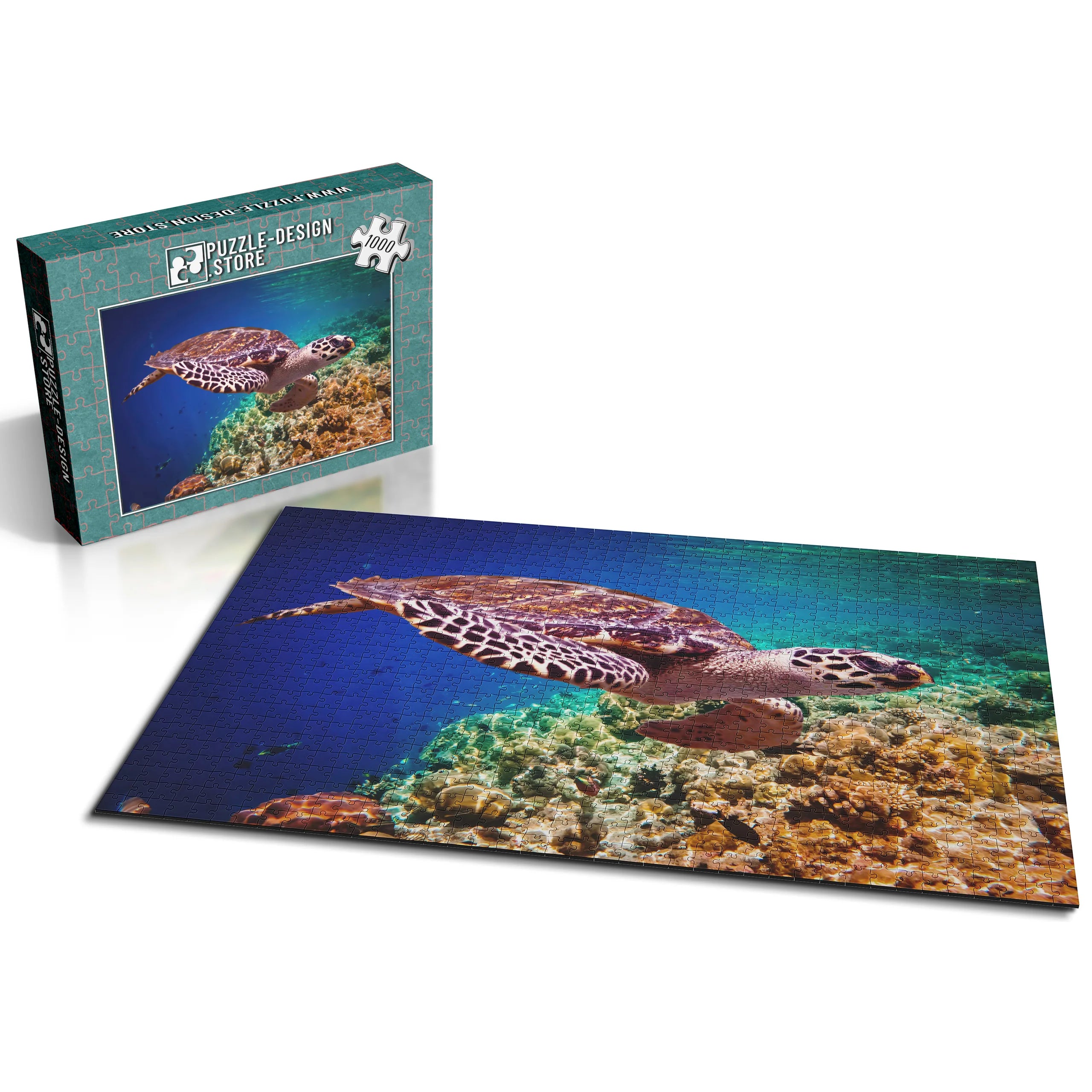 Elegante Meeresschildkröte