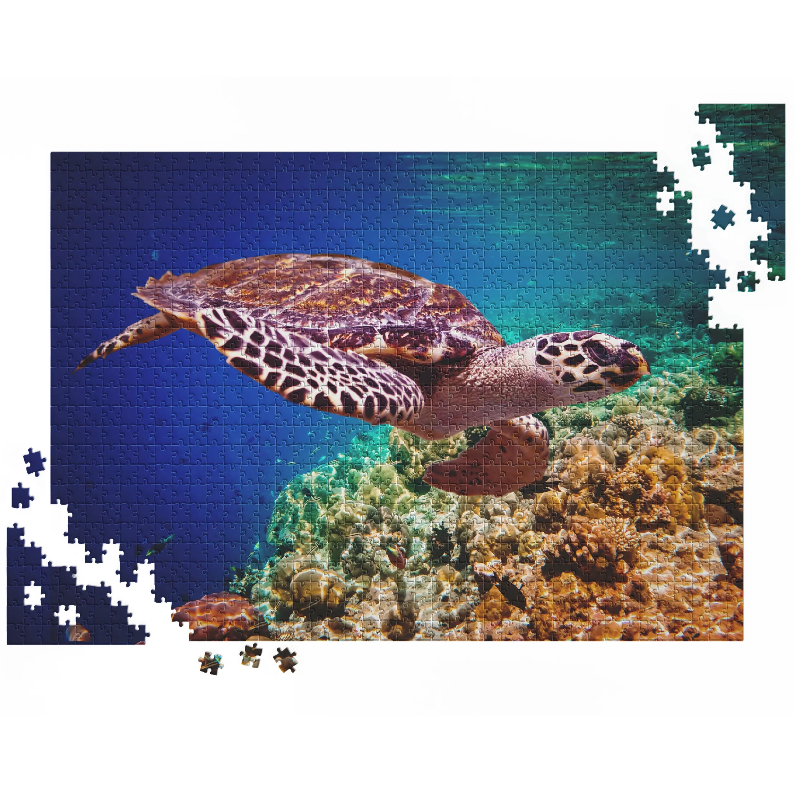 Elegante Meeresschildkröte