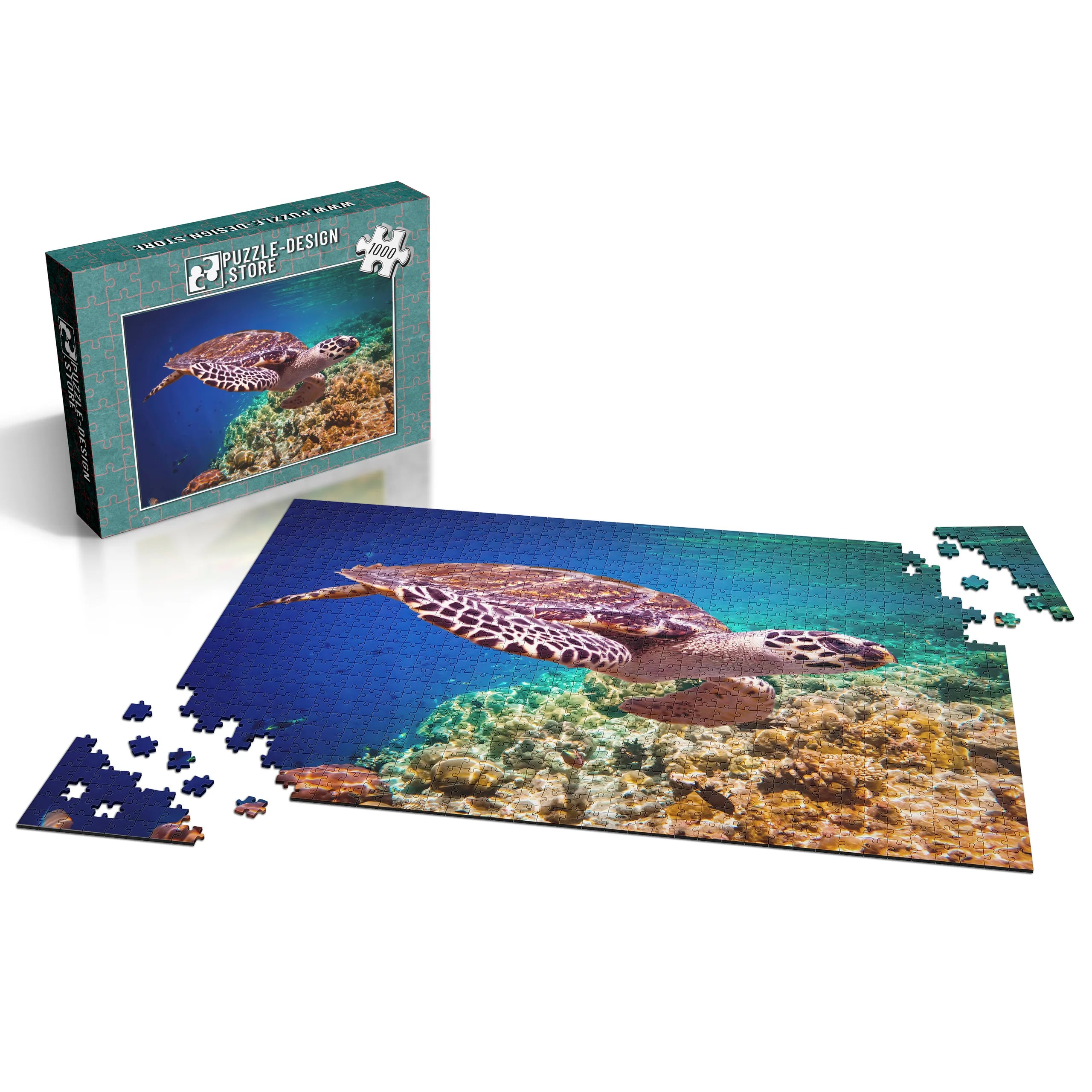 Elegante Meeresschildkröte