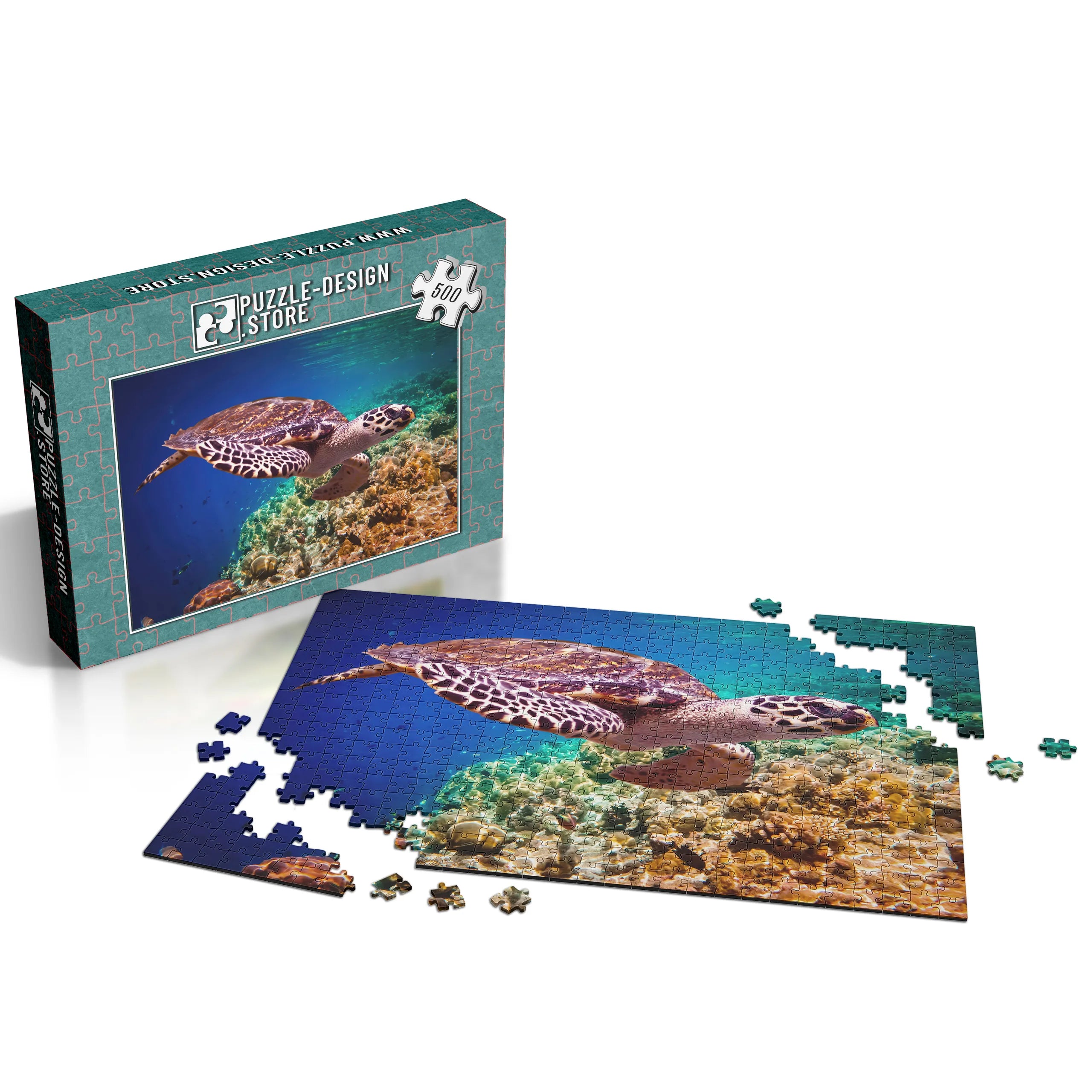 élégante tortue marine