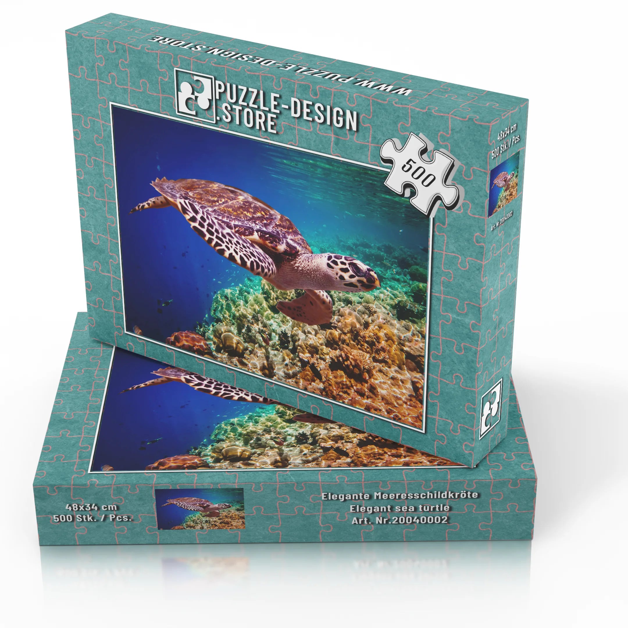 élégante tortue marine