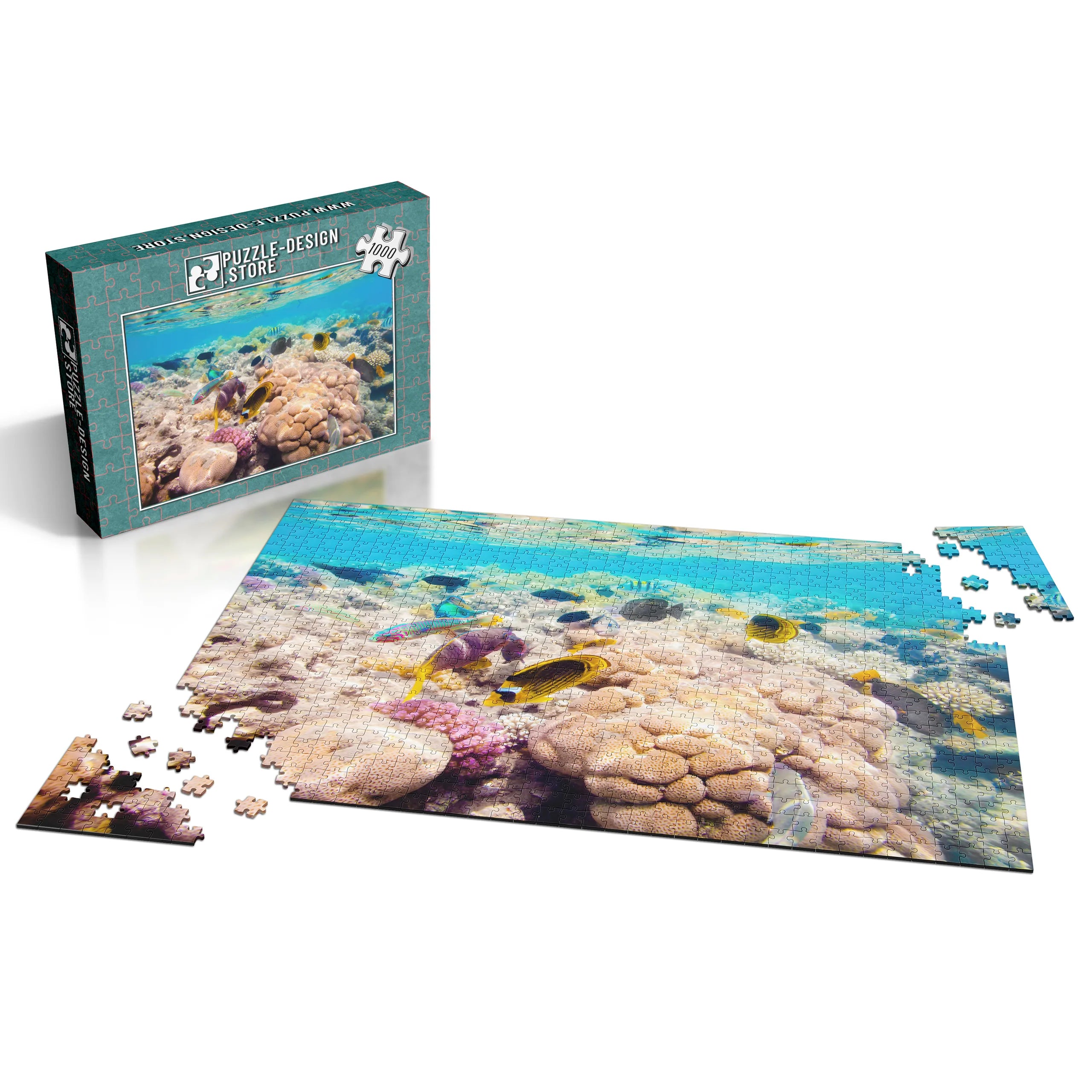 Korallenriff Vielfalt