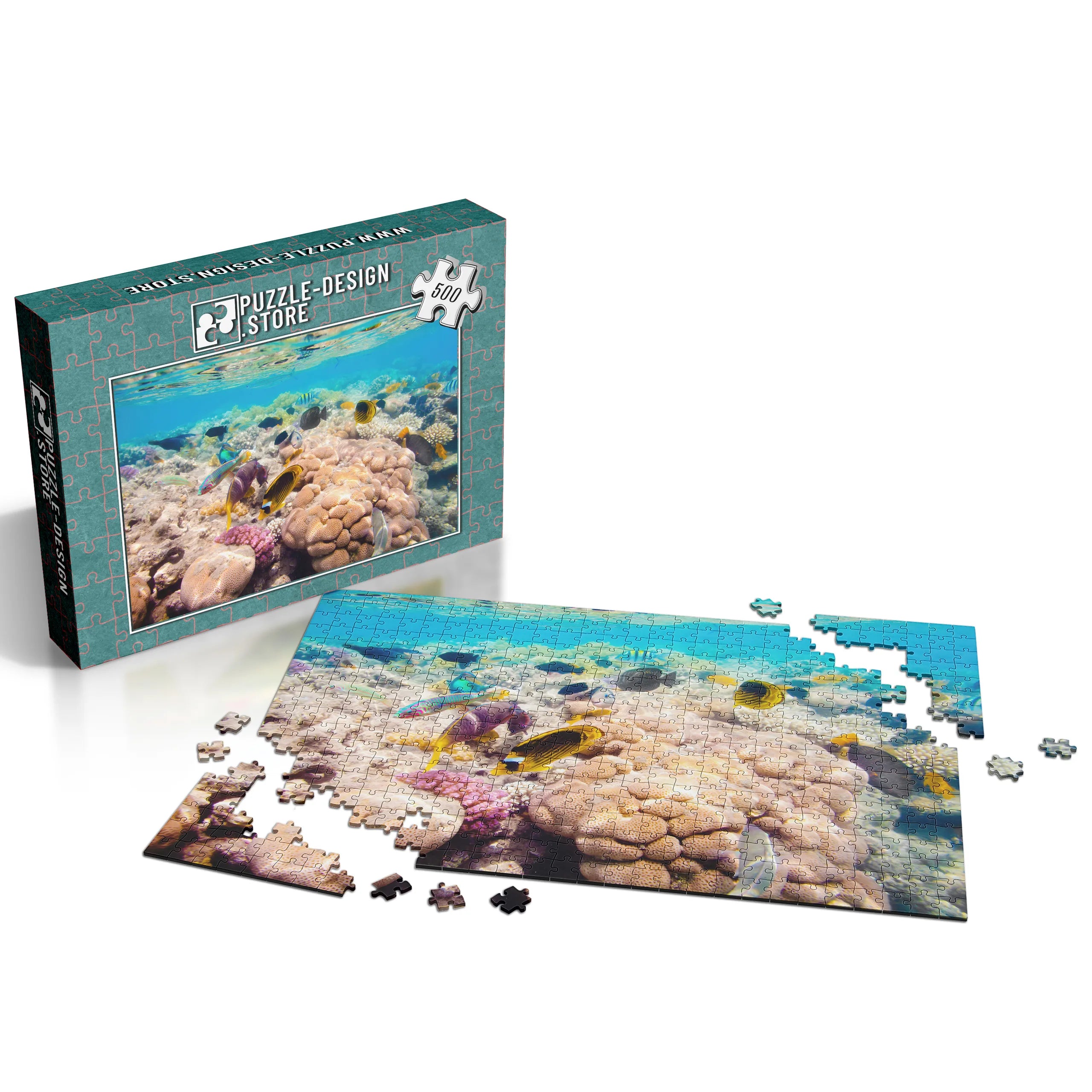 Korallenriff Vielfalt