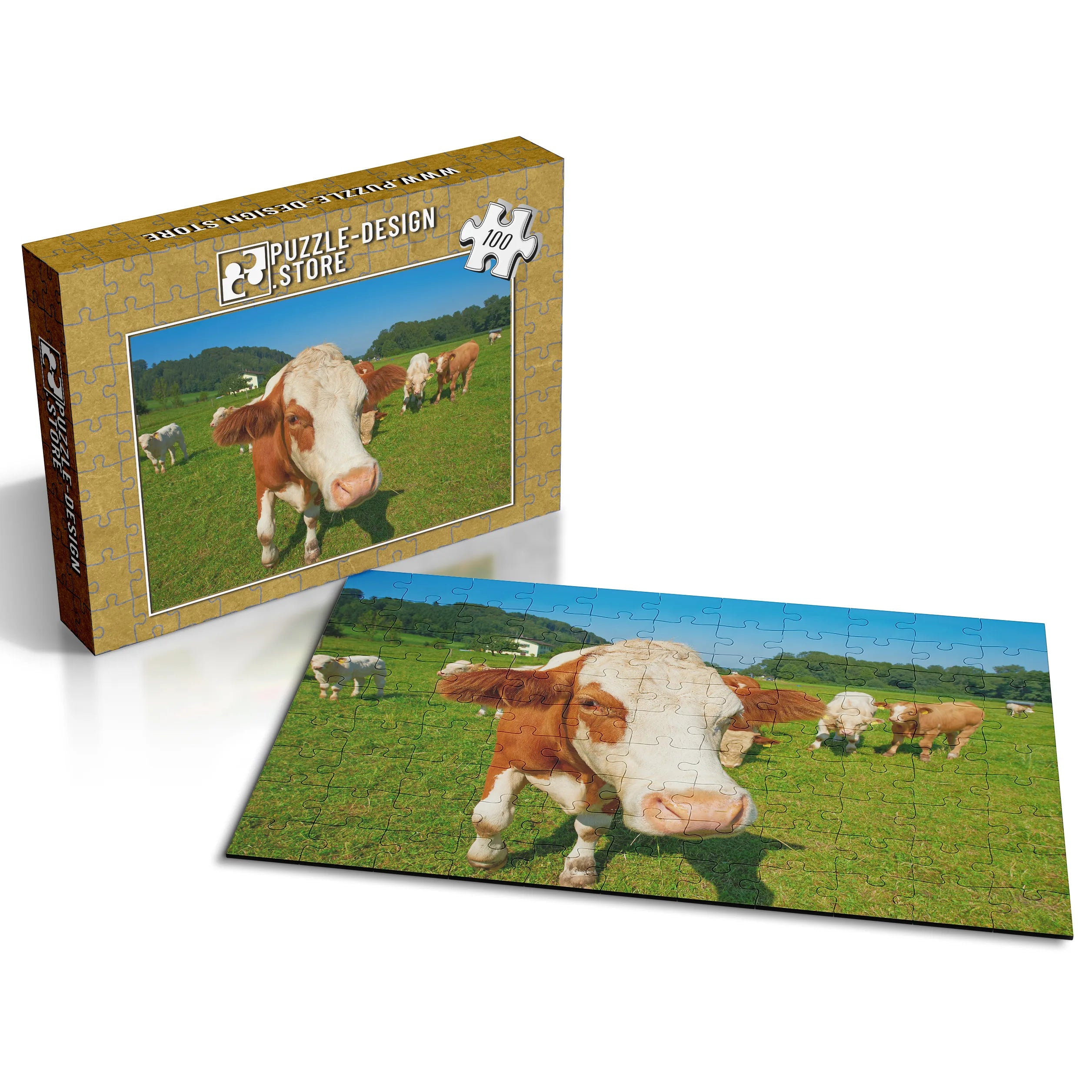 Troupeau de vaches curieux