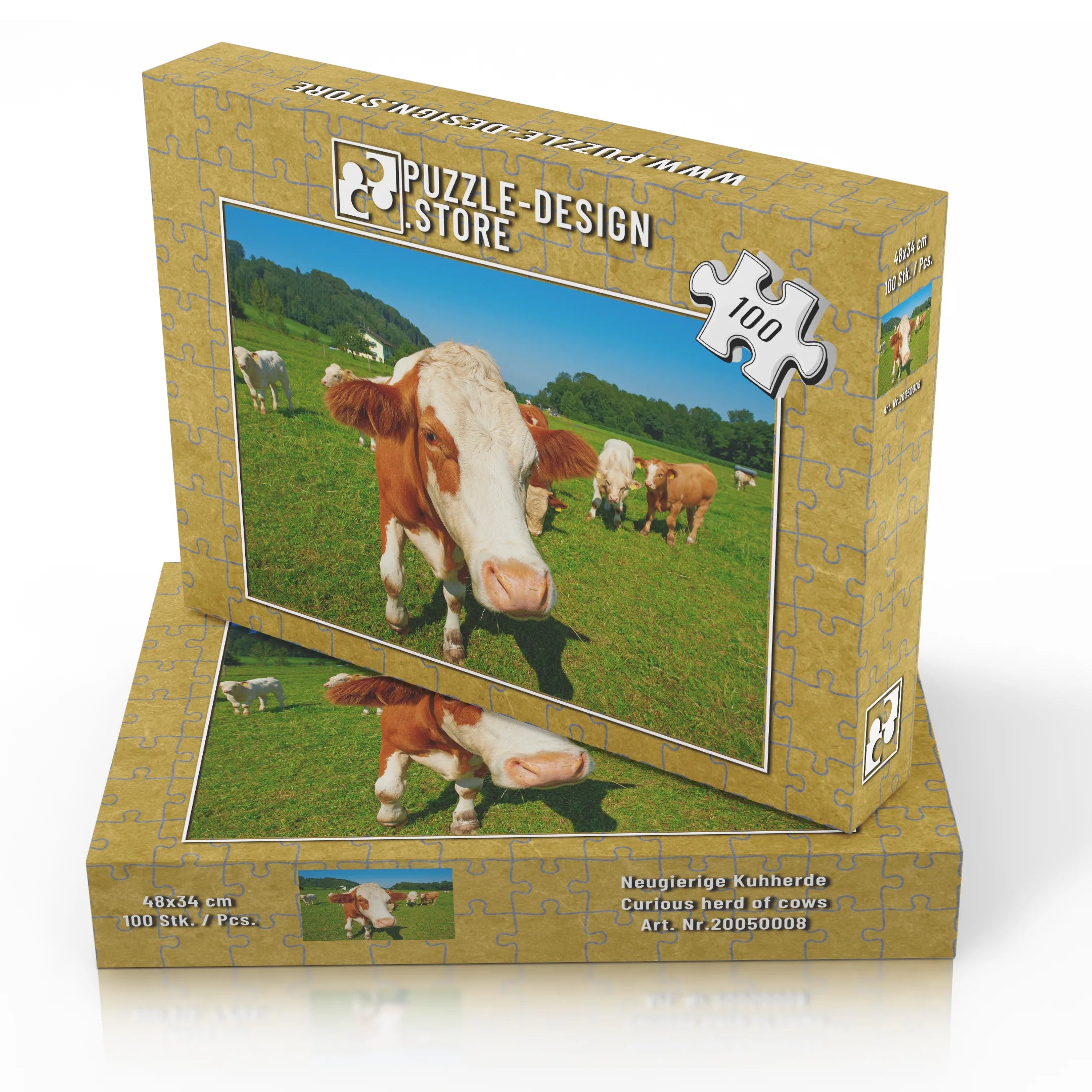 Troupeau de vaches curieux