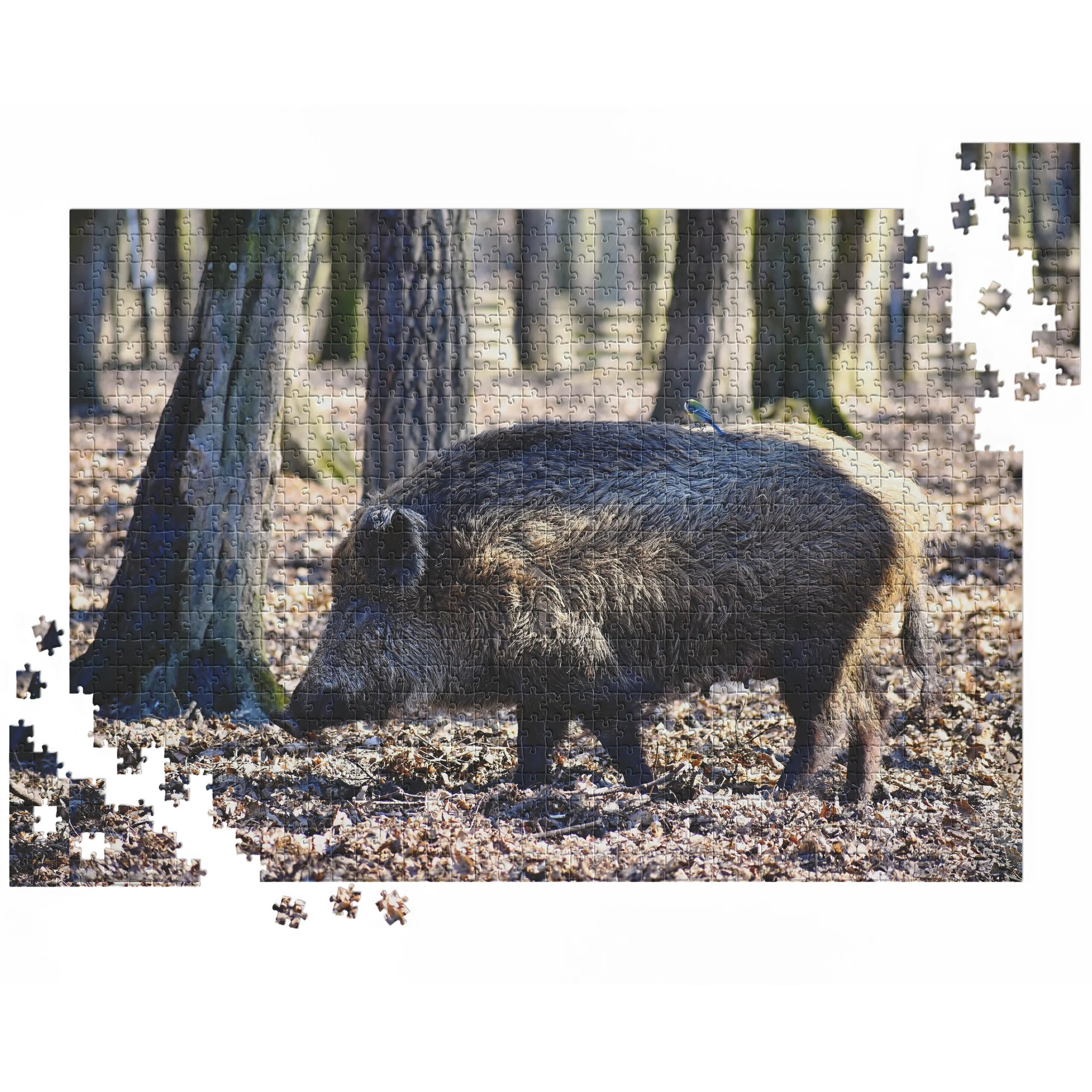 Wildschwein im Wald