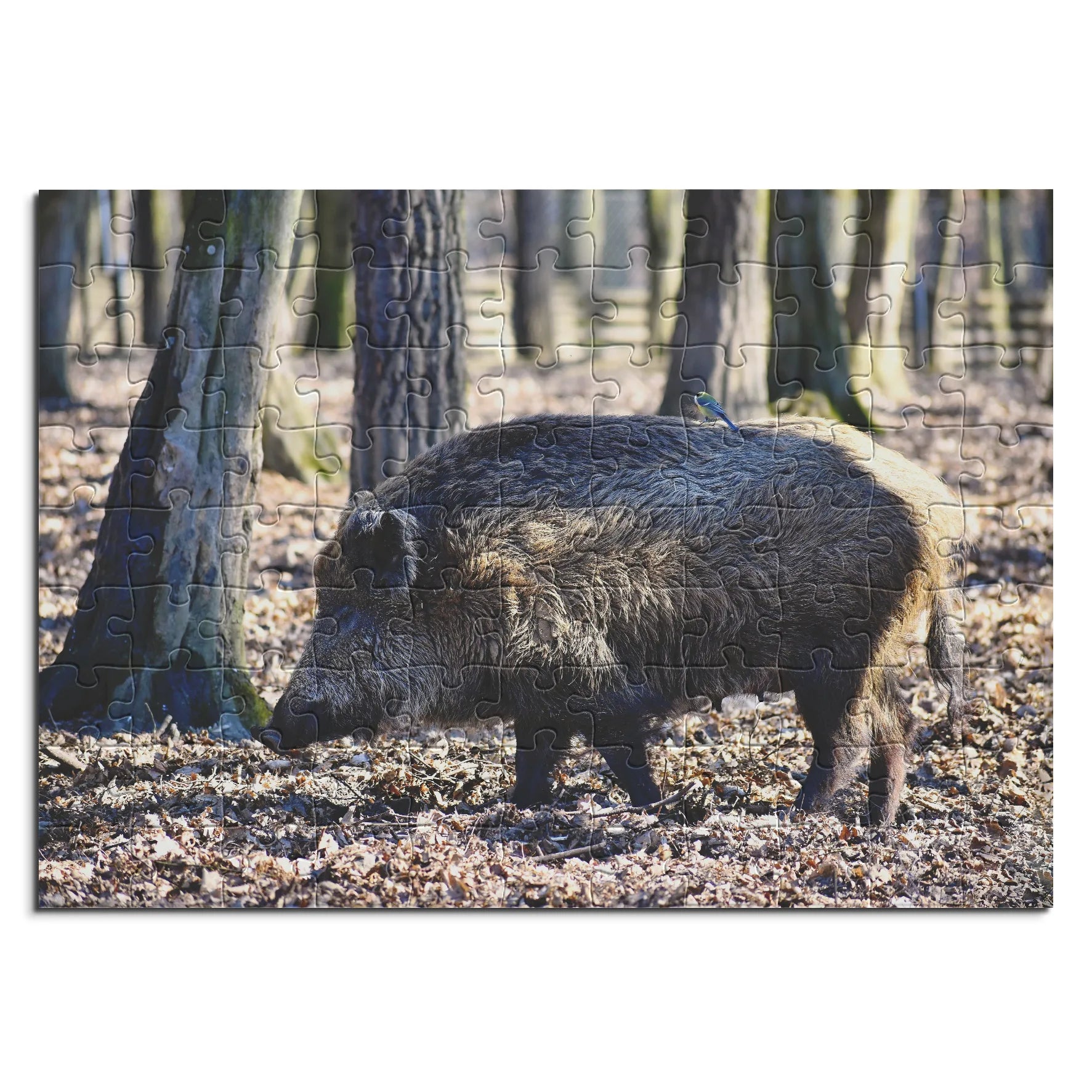 Wildschwein im Wald