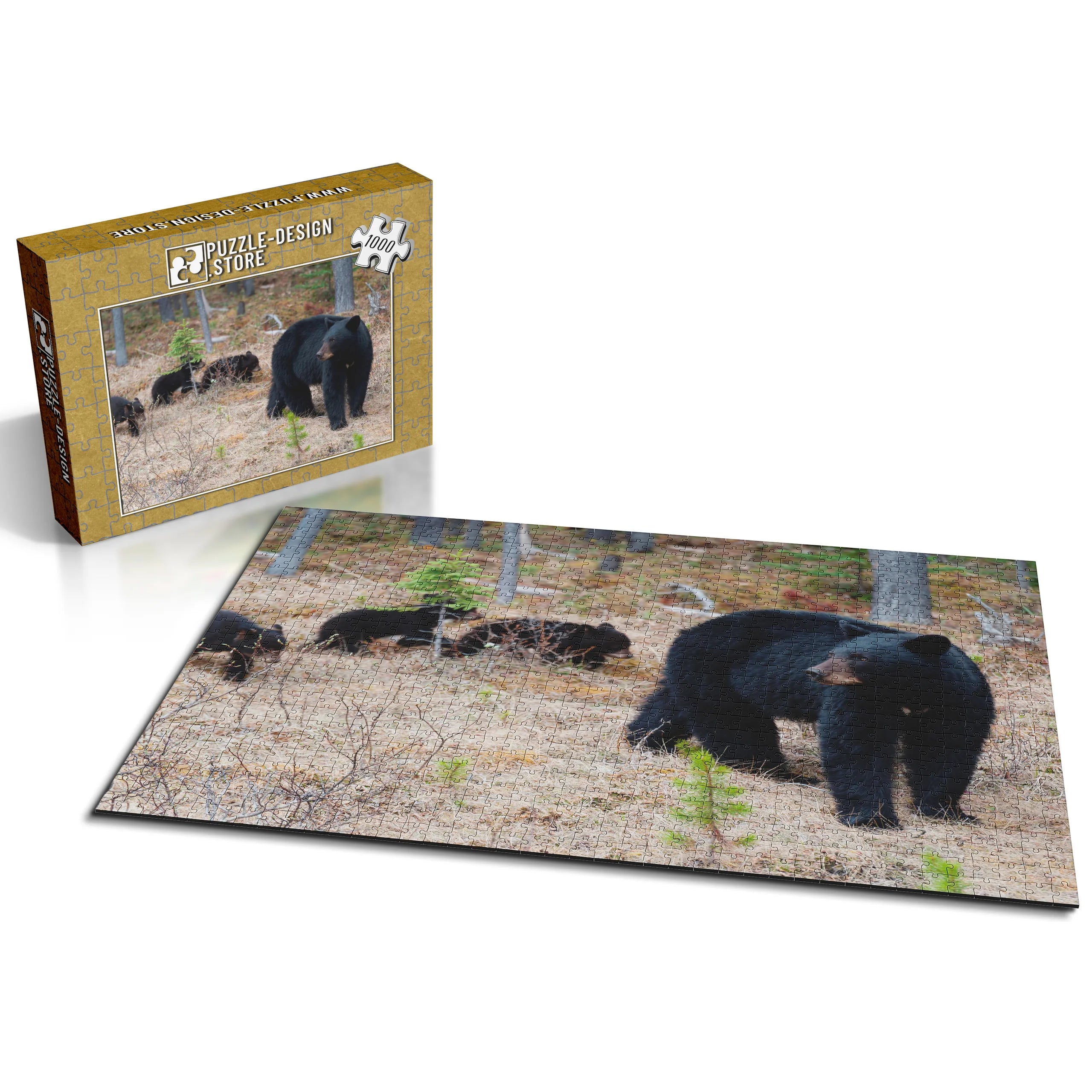 Schwarzbär mit Jungen