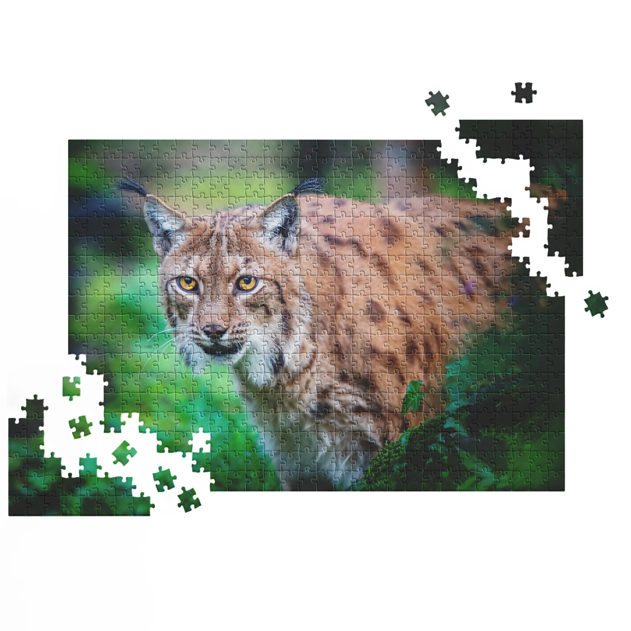 Luchs im Unterholz