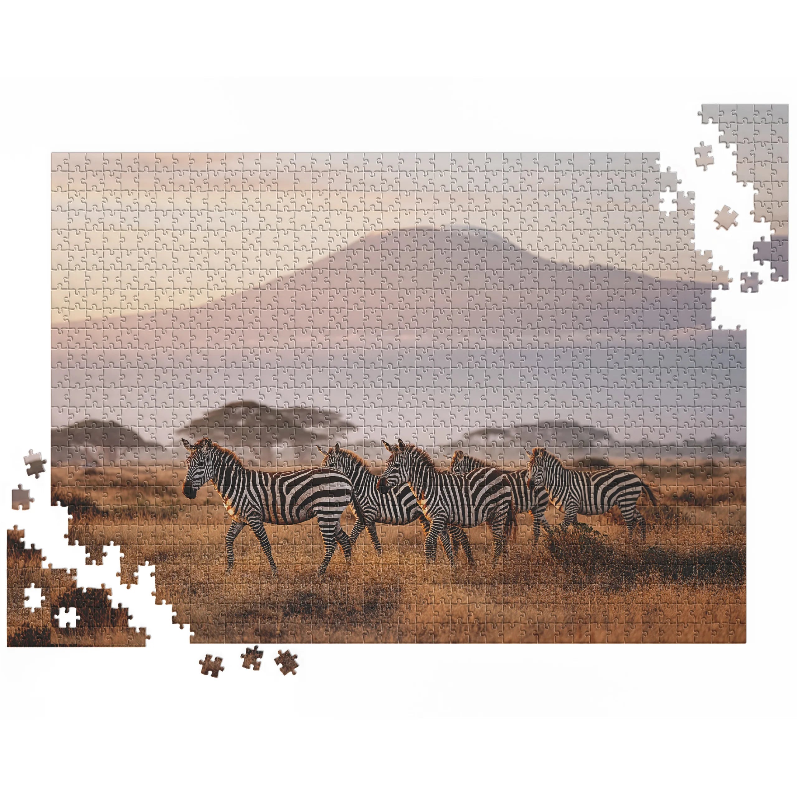 Kilimandscharo Zebrasafari