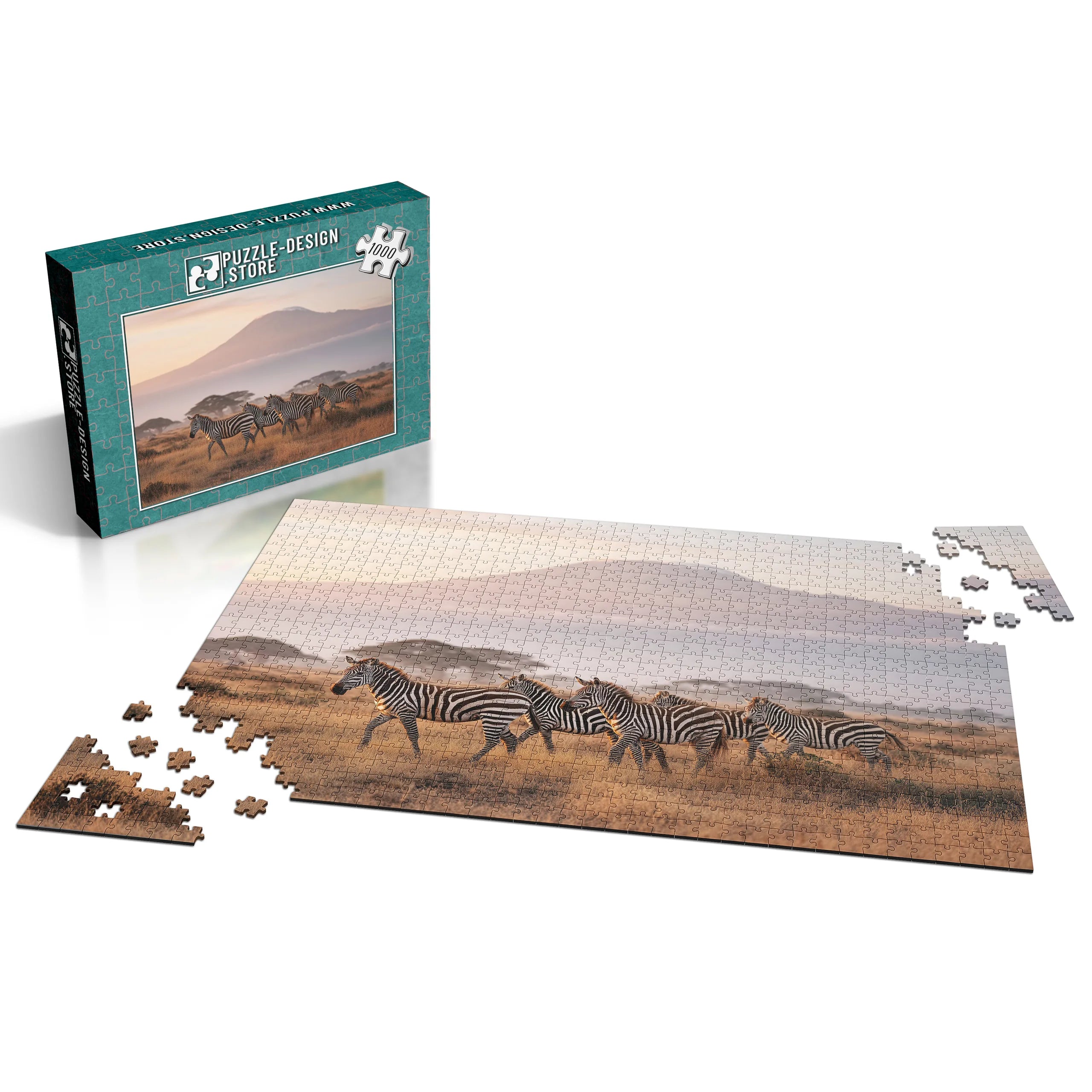 Kilimandscharo Zebrasafari