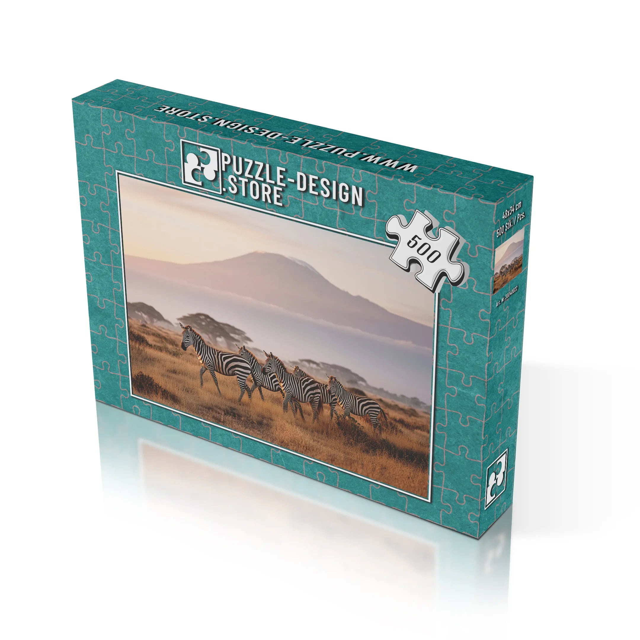 Kilimandscharo Zebrasafari