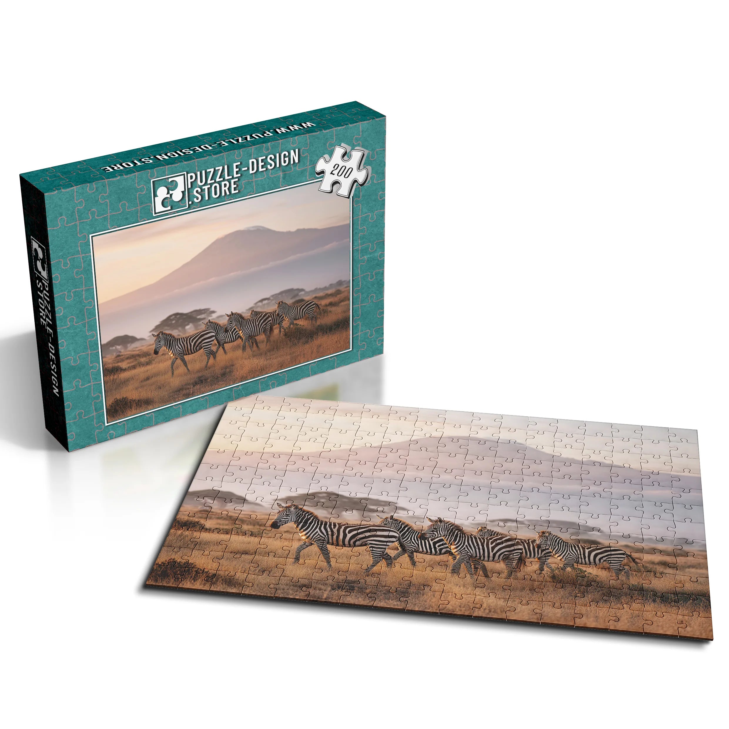 Kilimandscharo Zebrasafari