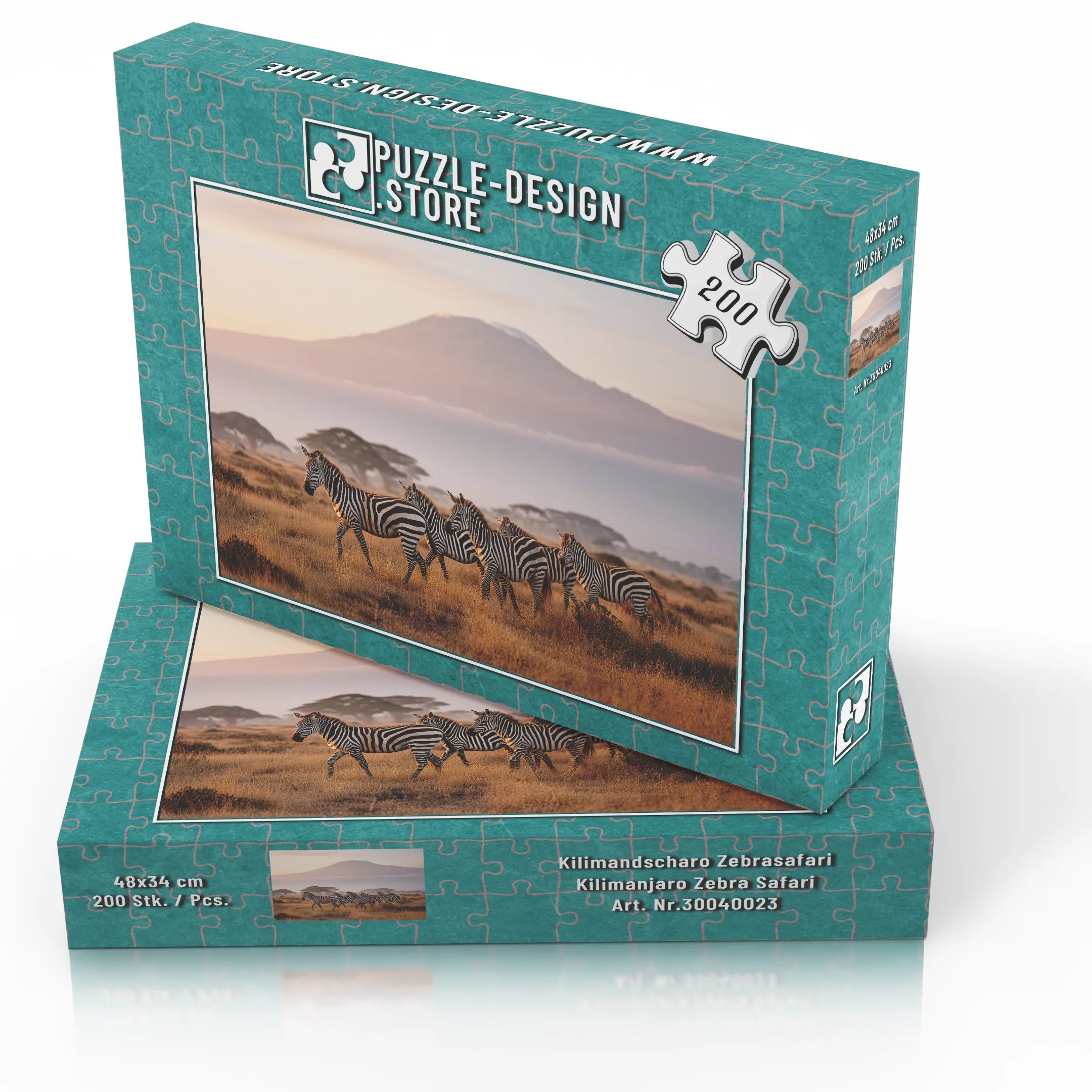 Kilimandscharo Zebrasafari