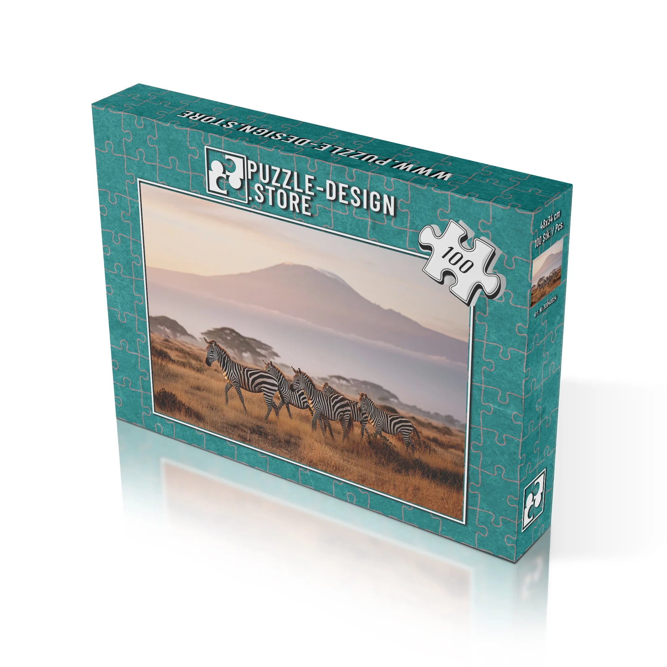 Kilimandscharo Zebrasafari