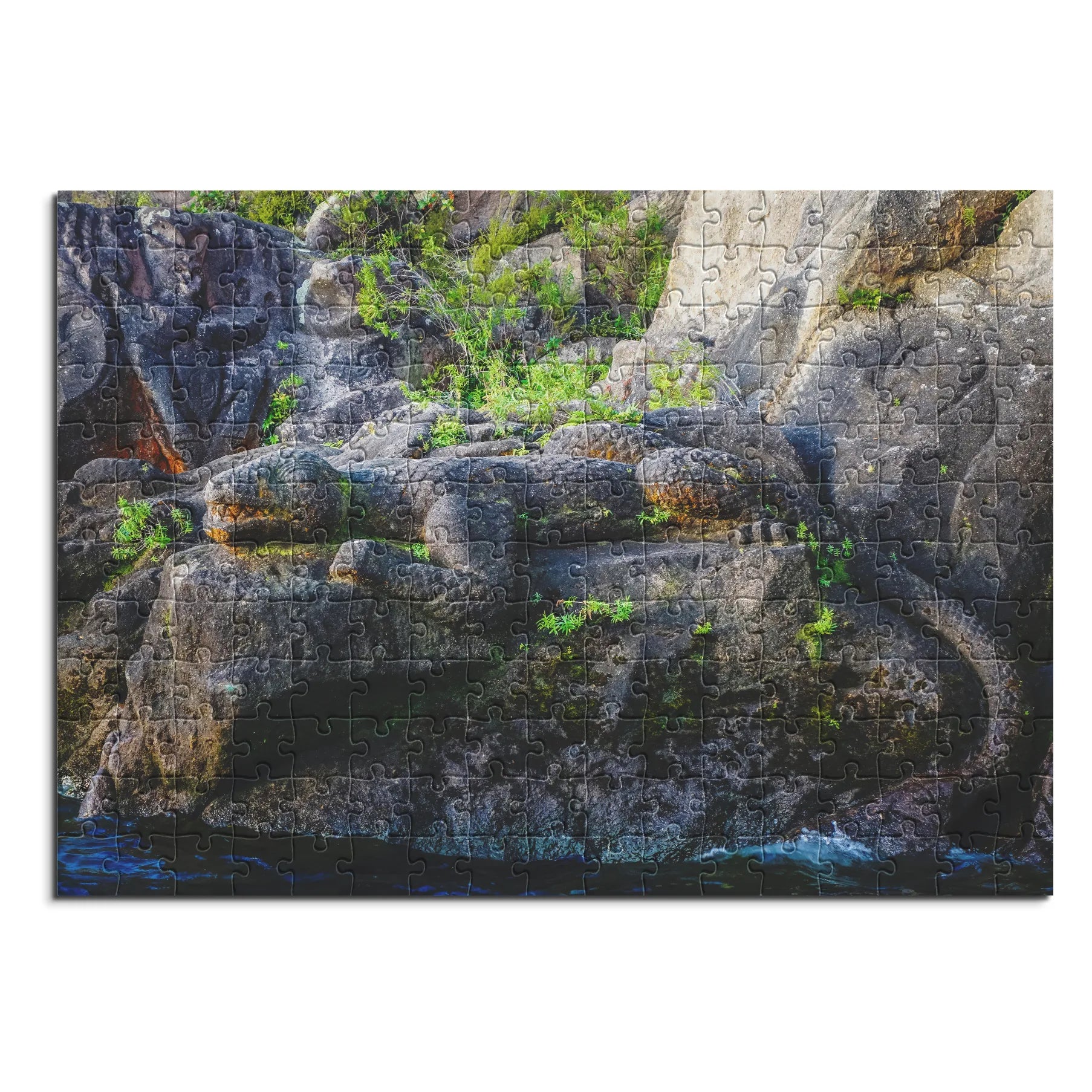 l'art rupestre maori