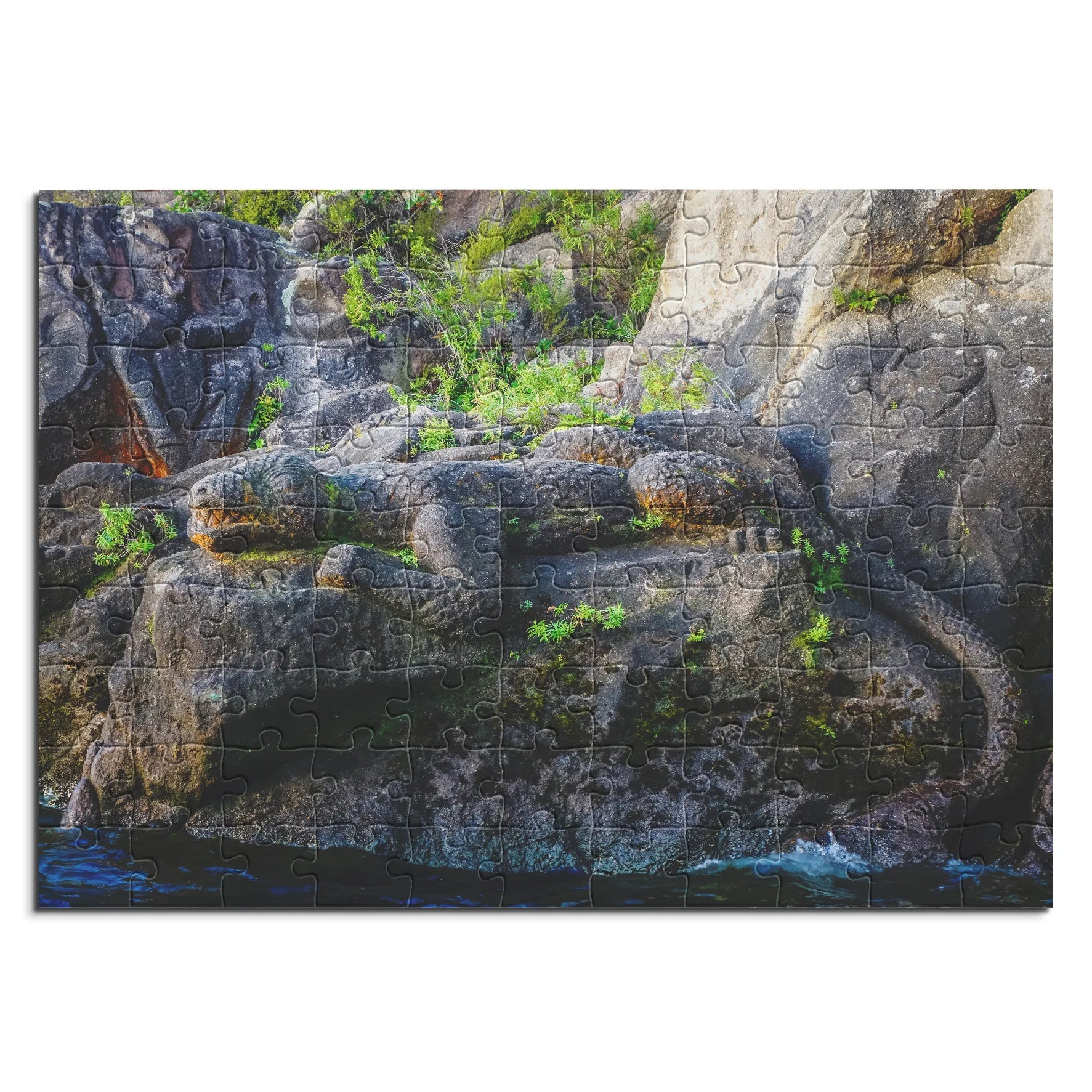 l'art rupestre maori