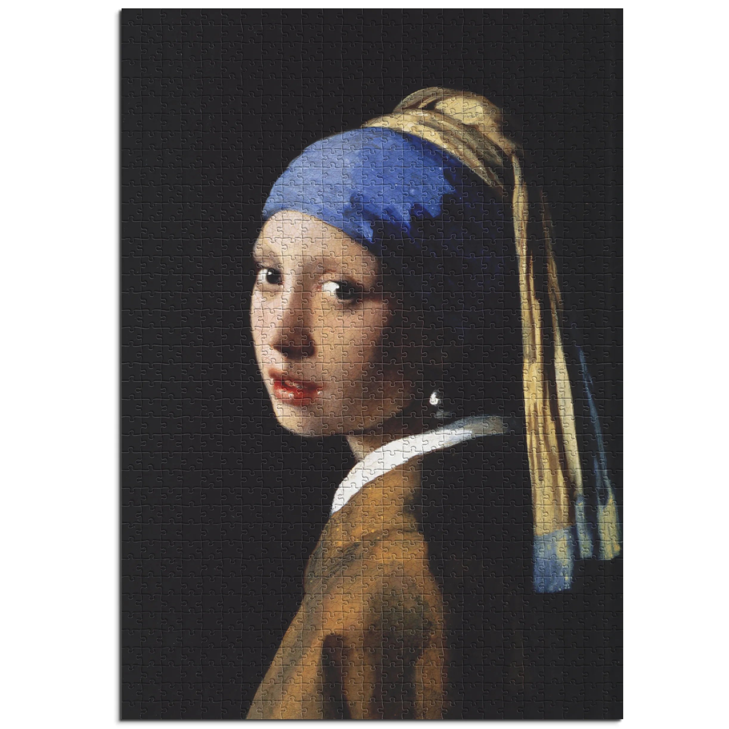 Johannes Vermeer / Das Mädchen mit dem Perlenohrring