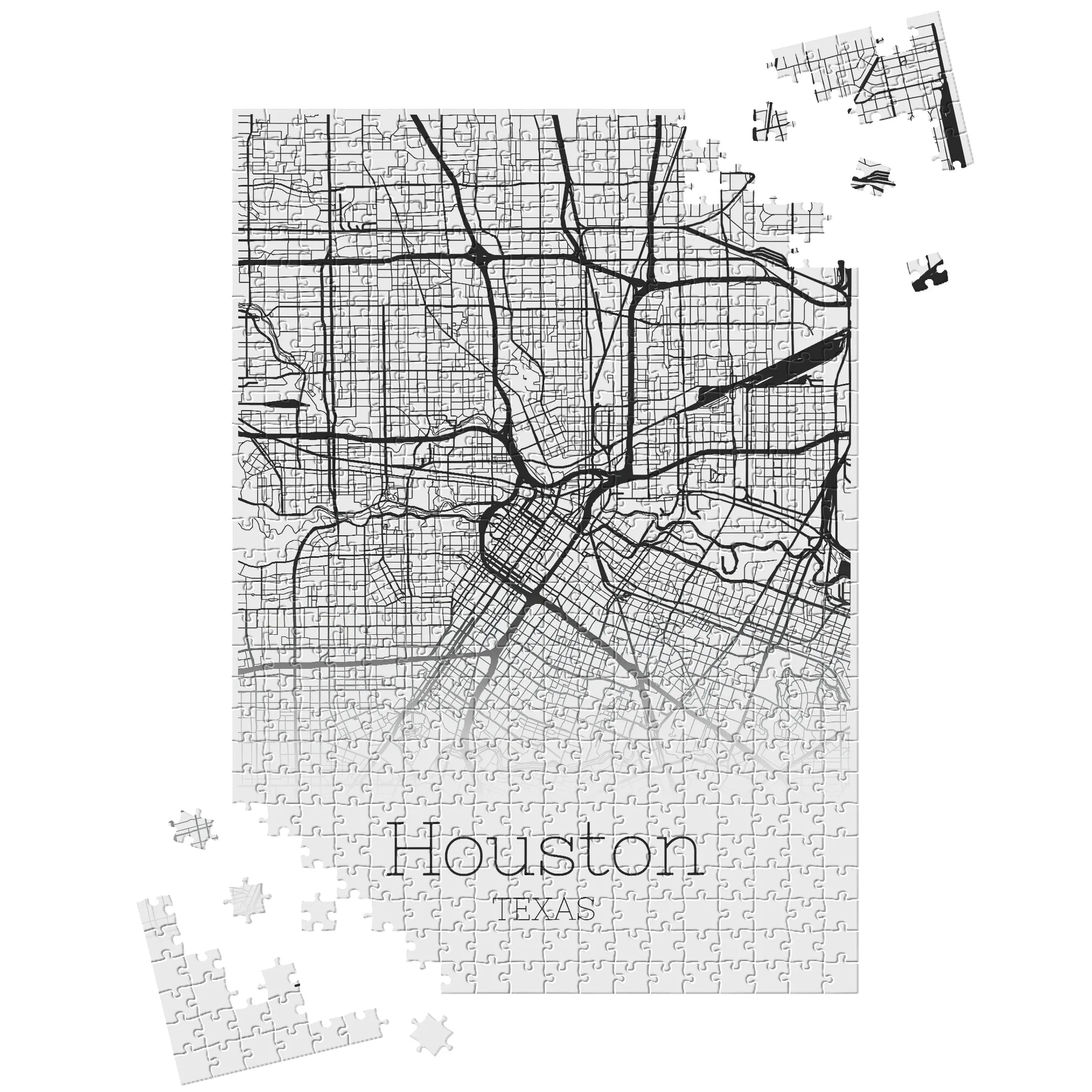 Houston  / Texas