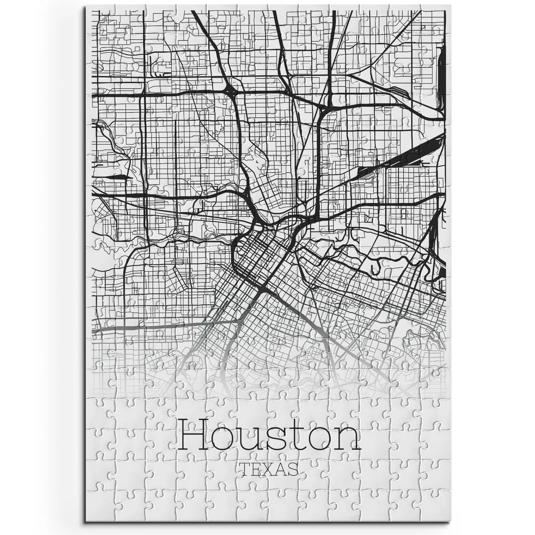 Houston  / Texas