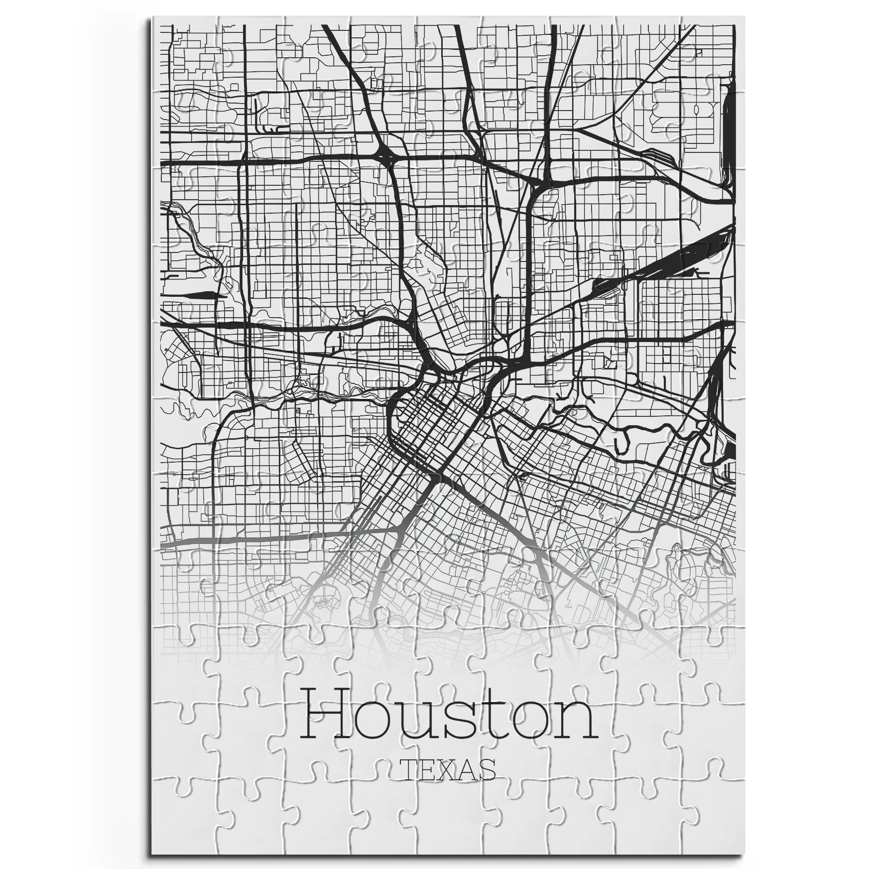 Houston  / Texas